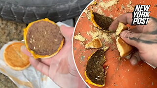 Internet freaks out over fossilized McDonald's burger that was left in car for years