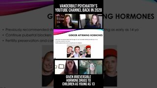 Vanderbilt Psychiatry, Given Irreversible Hormone Drugs To Children As Young As 13