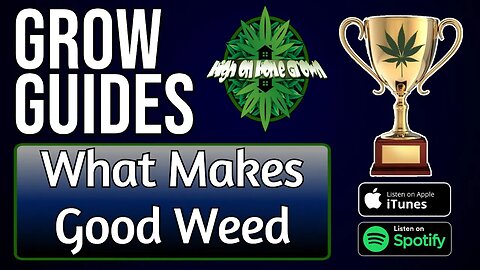 What Makes Good Weed | Grow Guides Episode 28