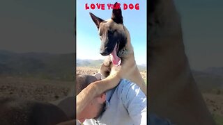 Love your Dog (Белгийска Овчарка)Best Dog