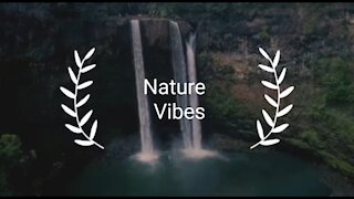 Nature vibes - 4k 🏞😍