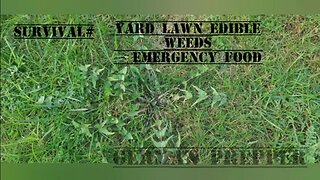 Survival# Yard Lawn Edible Weeds - Emergency Food