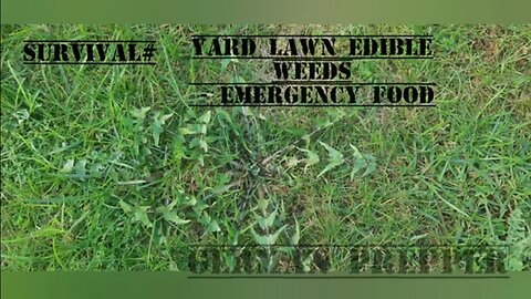 Survival# Yard Lawn Edible Weeds - Emergency Food