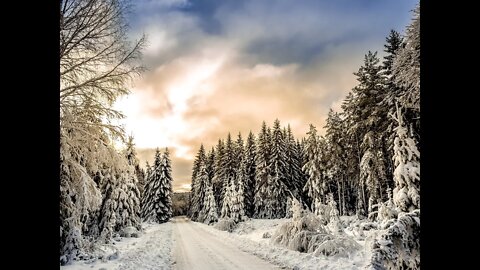 3 Hours of Relaxing Music with Beautiful Winter Scenes