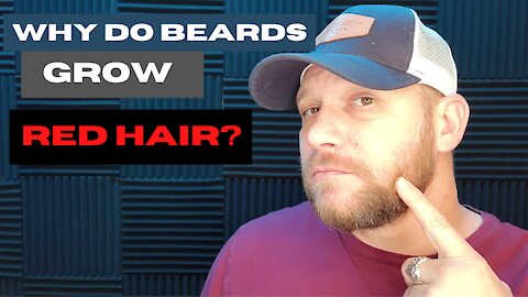 Why is your beard growing Red hair?