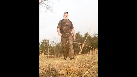 Foraging for Junk in the Woods During a Walk