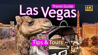 Las Vegas Travel Guide - The Strip, Freemont Street, & Desert Excursions