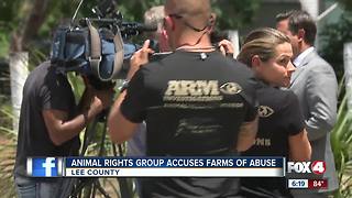 Animal Rights Group Accuses Farms of Abuse