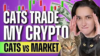 Cats Trade my Crypto (😼 vs 🌎)