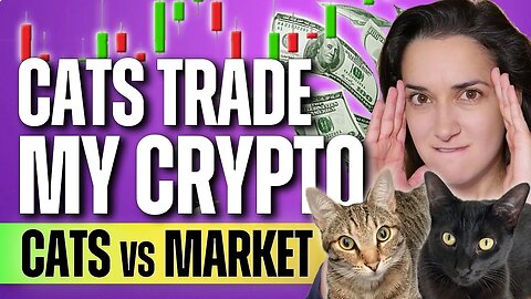 Cats Trade my Crypto (😼 vs 🌎)