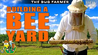 Building A Bee Yard | Installing NUCs in the Bee Castle Bee Yard | #beecastle #beekeeping