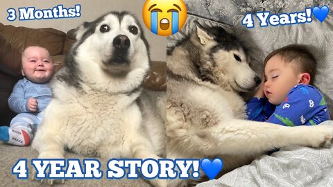 The full 4 year story of my husky & baby becomes bestfriend...!! #husky