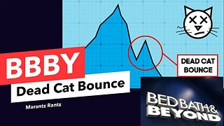 BBBY - Dead Cat Bounce