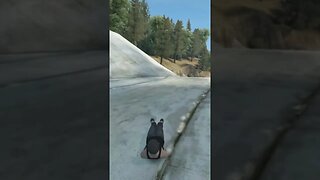 DROP IN COFFIN IS POSSIBLE ? #skate3