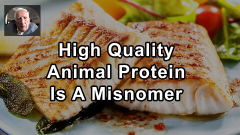 High Quality Animal Protein Is A Misnomer - T. Colin Campbell, PhD - Interview