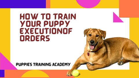 how to train your puppy execution of orders