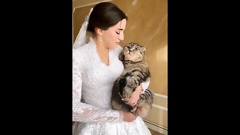 Bride on her wedding day deposits her cat