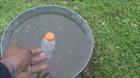 Experiment With Salt Water Bottles