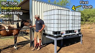 Rainwater Harvesting System For the Horse - DIY First Flush and IBC Totes