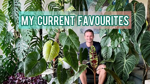 10 PLANTS I AM CURRENTLY OBSESSED WITH - my favourites January 2023