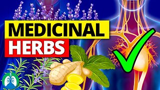 🌱Top 10 Most POWERFUL Medicinal Herbs (Backed by Science)