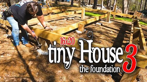 CAN’T BELIEVE I MISSED THIS! BUILDING A TINY CABIN, 16x20, Woman Builds, Tiny House, Alone