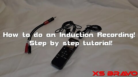 How to Do An Induction Recording Tutorial! For Disney Nerds!
