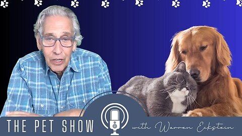The Pet Show Update 3 31 23