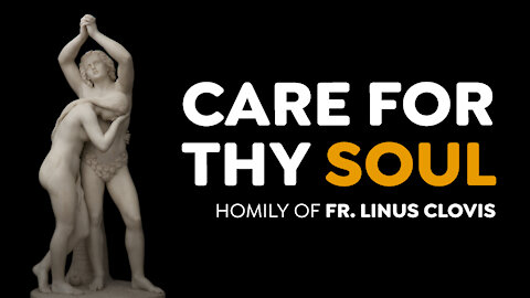 Care for thy soul ~ Fr. Linus Clovis