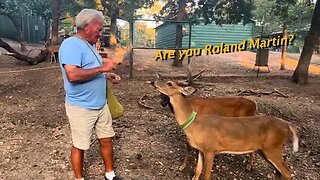 The Deer Meet Roland! (He has Food)