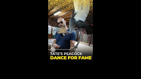 Tate's Peacock Dance for Fame