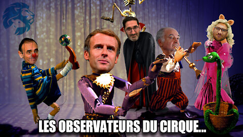 Les Observateurs du Cirque !