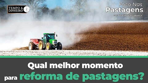 Qual melhor momento para reforma de pastagens? Veja um exemplo hoje em Foco nas Pastagens