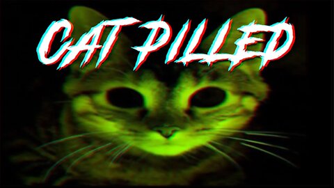 Cat Pilled