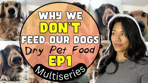 Why our dogs eat a Carnivore diet | Deep Dive into the Pet Food Industry