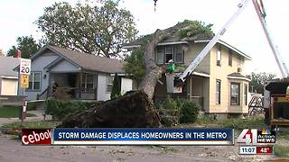 Chainsaws put to work Sunday on storm damage