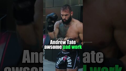 Andrew Tate smashes the pads! Hulk smash!