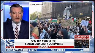 Sen Ted Cruz TORCHES Antisemitic Pro Hamas Protestors