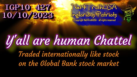 IGP10 427 - Y'all are human Chattel