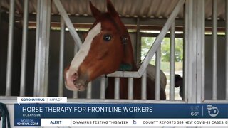 Horse therapy for front line workers
