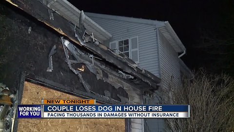 Abingdon family forced out of home in fire that killed dog