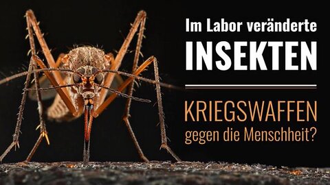 Insekten als Kriegswaffen gegen die Menschheit?