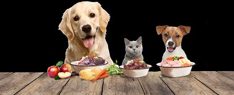 recetas saludables y nutritivas para mascotas