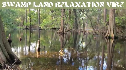 Relaxing Music / Swamp Land Vibe / Country Living Environment