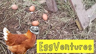 EggVentures - The hunt for the missing eggs....