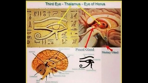 EXAMPLE OF HOW THE PARASITIC ENTITY TAKES OVER THE HUMAN HOST THROUGH THE PINEAL GLAND - King Street News