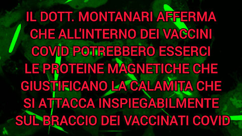 COSA C'È ALL'INTERNO DEI VACCINI COVID CHE ATTIRA LE CALAMITE? PROTEINE MAGNETO PER IL CONTROLLO?