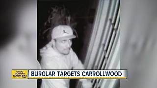 WANTED: Carrollwood serial burglary suspect