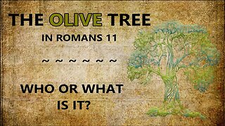 The Olive Tree in Romans 11