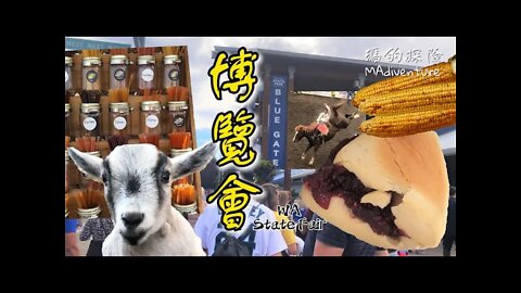 美國生活 | 華州博覽會Vlog一定要吃經典草莓司康！還有看神乎其技的牛仔競技表演 Washington State Fair Walkthrough and Rodeo